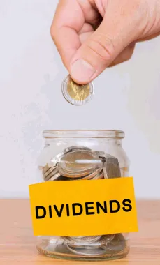 Dividend Report