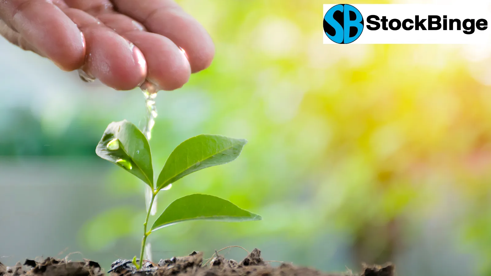 Kina Securities Limited (ASX:KSL)